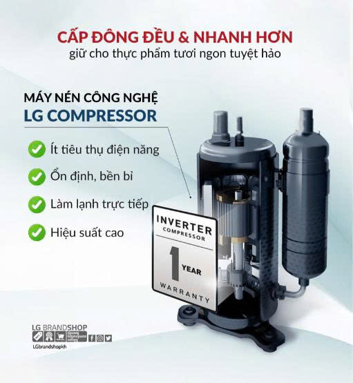 z7231075814569_c607b197313e1ec96888cc84d60293a5